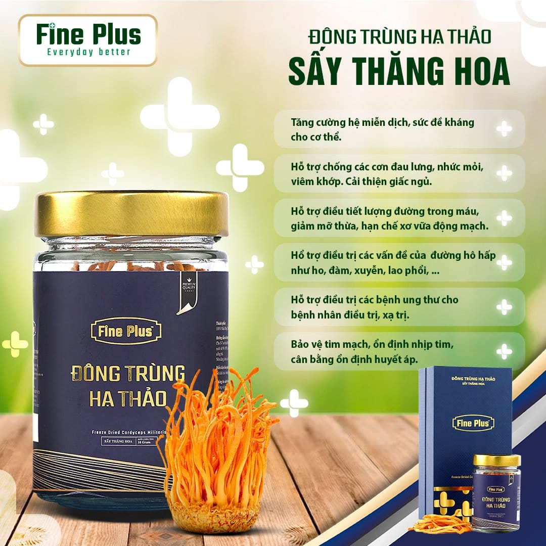 Đông trùng hạ thảo dạng sợi sấy Fine Plus sấy thăng hoa