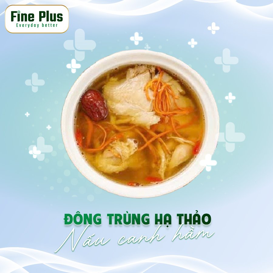 Đông Trùng Hạ Thảo nấu cháo hoặc hầm canh