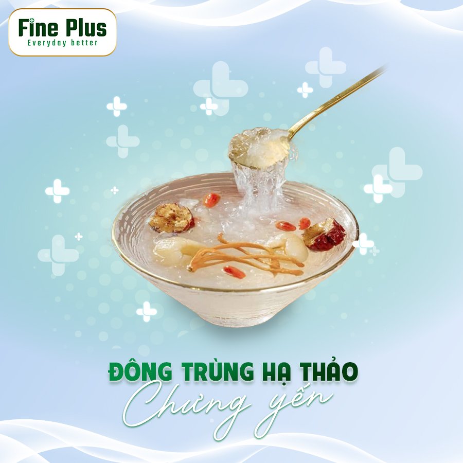 Đông Trùng Hạ Thảo chưng với Yến Sào