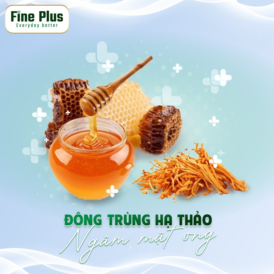 Đông Trùng Hạ Thảo sấy ngâm mật ong