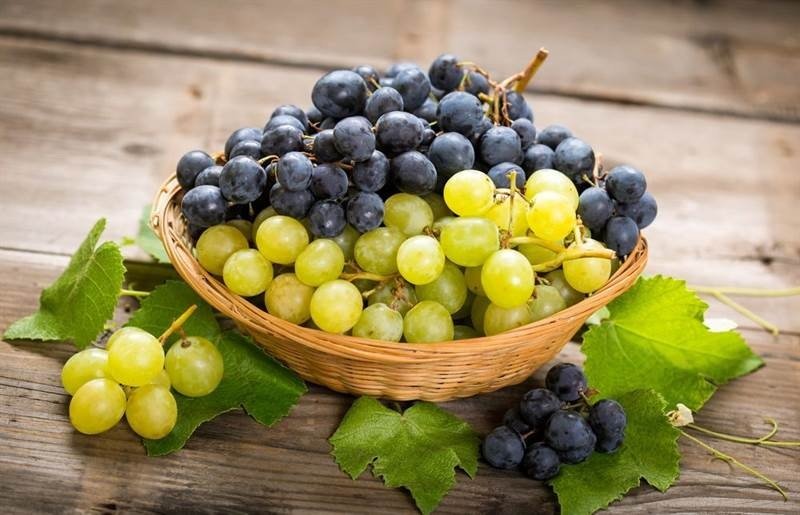quả nho chứa nhiều chất giúp tăng độ mịn màng cho da