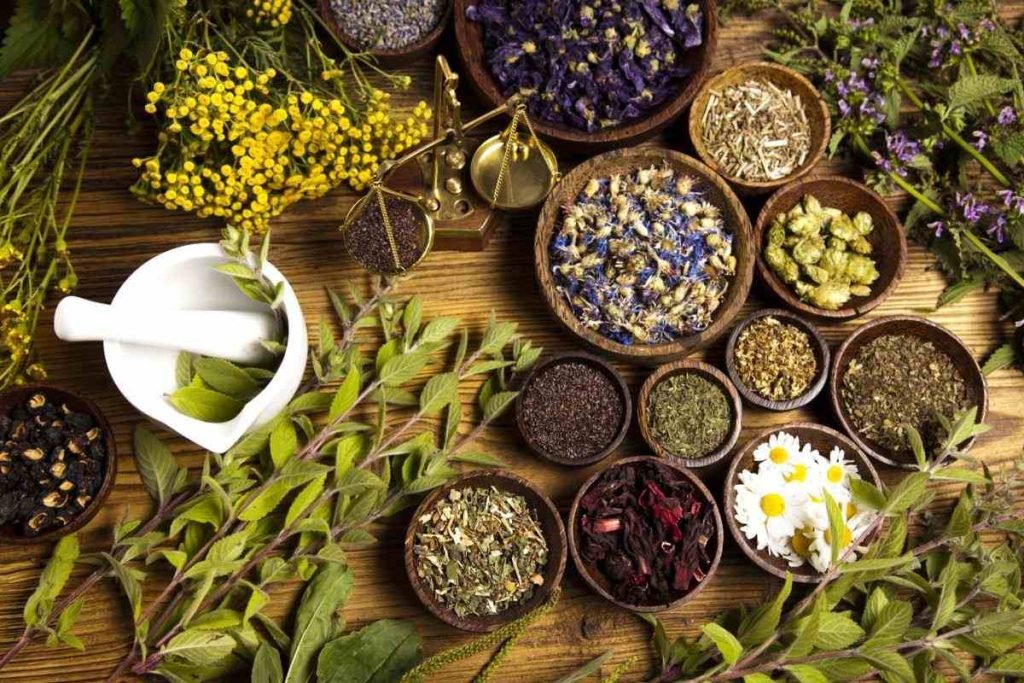 5 loại thảo dược hỗ trợ cho công cuộc chăm da của chị em