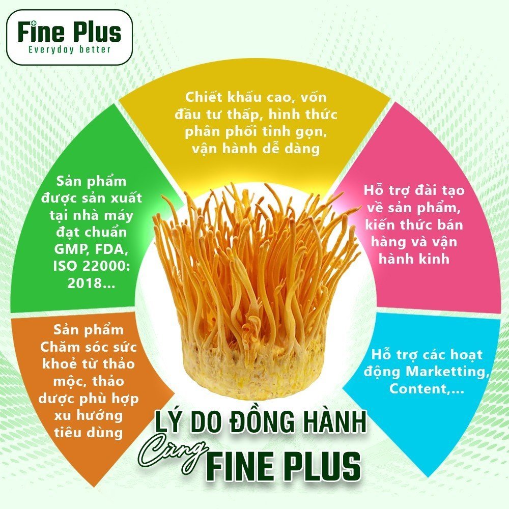 Fine Plus tuyển dụng đối tác kinh doanh hợp tác làm nhà phân phối và đại lý bán hàng